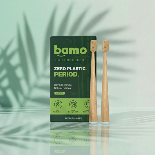 2 Pack Natural Bristle & Bamboo Toothbrush